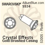 Swarovski Rivet (53005), Stainless Steel Casing, With Stones in SS34 - Colors