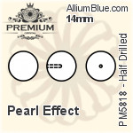 プレミアム ラウンド (Half Drilled) Crystal パール (PM5818) 16mm - パール Effect