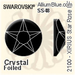 Swarovski XIRIUS Star Rose Flat Back Hotfix (2100) SS48 - Clear Crystal With Silver Foiling