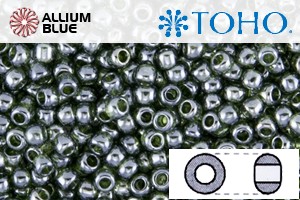 TOHO ラウンド Seed ビーズ (RR3-119) 3/0 ラウンド Extra Large - Transparent-Lustered Olivine