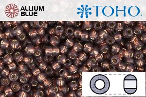 TOHO Round Seed Beads (RR8-2114) 8/0 Round Medium - Silver-Lined Milky Nutmeg - 關閉視窗 >> 可點擊圖片