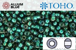 TOHO Round Seed Beads (RR8-270) 8/0 Round Medium - Inside-Color Crystal/Prairie Green-Lined - 關閉視窗 >> 可點擊圖片