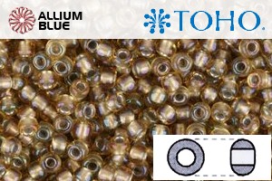 TOHO Round Seed Beads (RR8-279) 8/0 Round Medium - Inside-Color Rainbow Lt Topaz/Gray-Lined - Haga Click en la Imagen para Cerrar