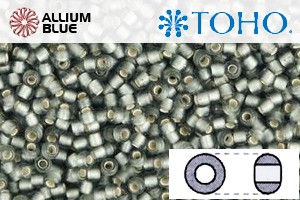 TOHO Round Seed Beads (RR11-29BF) 11/0 Round - Silver-Lined Frosted Gray - 關閉視窗 >> 可點擊圖片