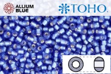 TOHO Round Seed Beads (RR11-29BF) 11/0 Round - Silver-Lined Frosted Gray