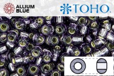 TOHO Round Seed Beads (RR6-37) 6/0 Round Large - Silver-Lined Olivine
