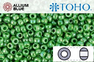 TOHO Round Seed Beads (RR11-407) 11/0 Round - Opaque-Rainbow Mint Green - 關閉視窗 >> 可點擊圖片