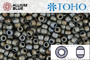 TOHO Round Seed Beads (RR3-613) 3/0 Round Extra Large - Matte-Color Iris - Gray - 關閉視窗 >> 可點擊圖片