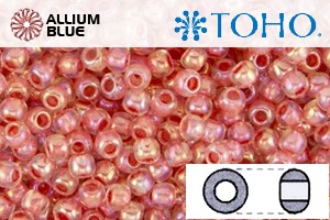 TOHO Round Seed Beads (RR3-779) 3/0 Round Extra Large - Inside-Color Rainbow Crystal/Salmon-Lined - Click Image to Close
