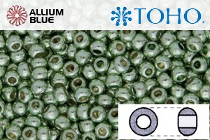 TOHO Round Seed Beads (RR15-PF560) 15/0 Round Small - PermaFinish - Galvanized Sea Foam - 关闭视窗 >> 可点击图片