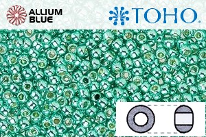 TOHO Round Seed Beads (RR6-PF561) 6/0 Round Large - PermaFinish - Galvanized Green Teal - Click Image to Close