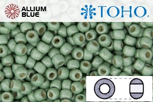 TOHO Round Seed Beads (RR6-PF570F) 6/0 Round Large - PermaFinish - Frosted Galvanized Mint Green - 关闭视窗 >> 可点击图片