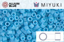 MIYUKI Delica® Seed Beads (DBLC0021) 8/0 Hex Cut Large - Nickel Plated