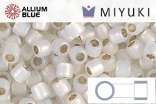 MIYUKI Delica® Seed Beads (DBL0200) 8/0 Round Large - Opaque White