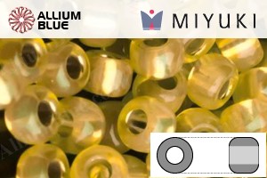 MIYUKI Round Rocailles Seed Beads (RR11-0677) 11/0 Small - 0677 - 關閉視窗 >> 可點擊圖片