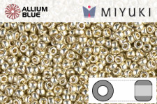 MIYUKI Round Seed Beads (RR11-0181) - Galvanized Silver