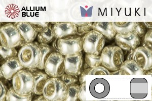 MIYUKI丸シードビーズ (RR6-0181) 6/0 特大ビーズ - 外銀メッキ - ウインドウを閉じる