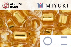 MIYUKIデリカビーズ (DB2521) 11/0 丸 - 24kt Gold Lined Crystal