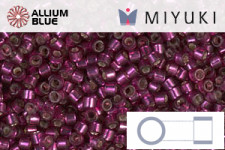 MIYUKI Delica® Seed Beads (DB1342) 11/0 Round - Dyed Silver Lined Raspberry